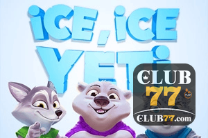 CLUB77 feedback — formulário de envio no aplicativo oficial