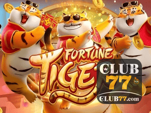 Guia install APK CLUB77 BR