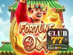CLUB77 login — painel de entrada no app oficial