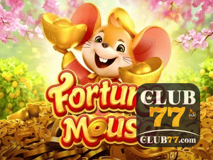 CLUB77 login — configurações de segurança e proteção de conta